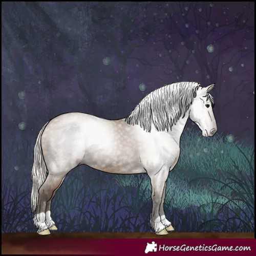 Horse Color:Gray Silver Grullo