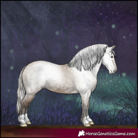 Horse Color:Gray Silver Grullo 