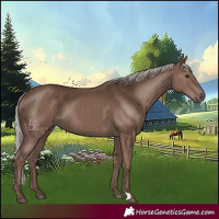 Horse Color:Silver Black 