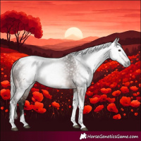 Horse Color:Gray Silver Brown Tobiano 