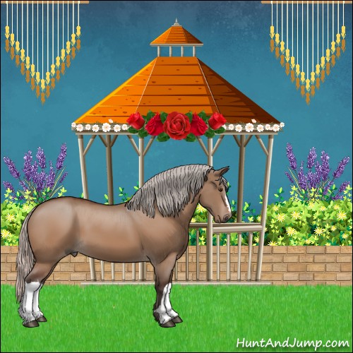 Horse Color:Silver Brown Dun 