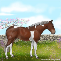 Horse Color:Silver Brown Tobiano 