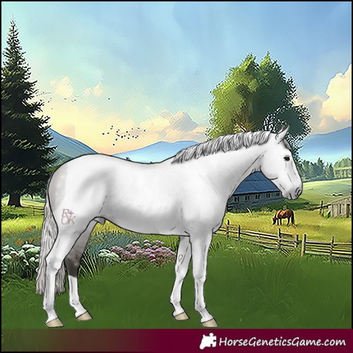 Horse Color:Gray Silver Grullo Tobiano