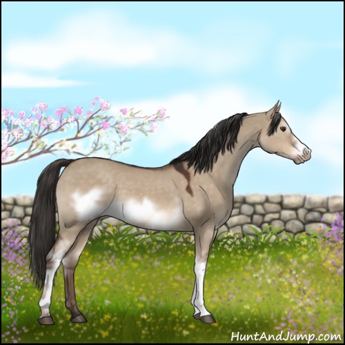 Horse Color:White Spotted Liver Red Dun Frame 