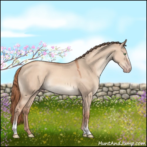 Horse Color:White Spotted Gold Champagne Dun 