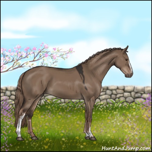 Horse Color:White Spotted Liver Red Dun Rabicano