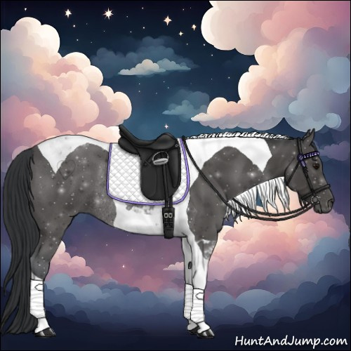Horse Color:Black Tobiano Rabicano 
