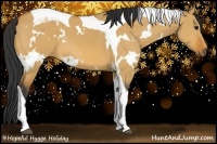 Horse Color:White Spotted Bay Dun Tobiano 