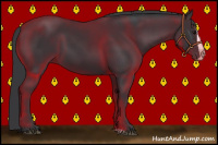 Horse Color:Black Splash Rabicano