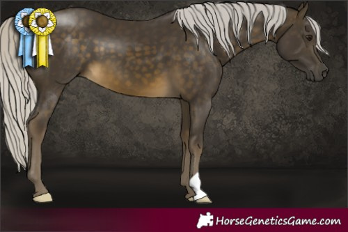 Horse Color:Silver Buckskin 