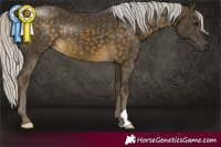 Horse Color:Silver Buckskin 