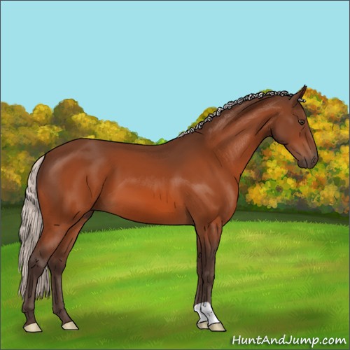 Horse Color:Silver Brown 