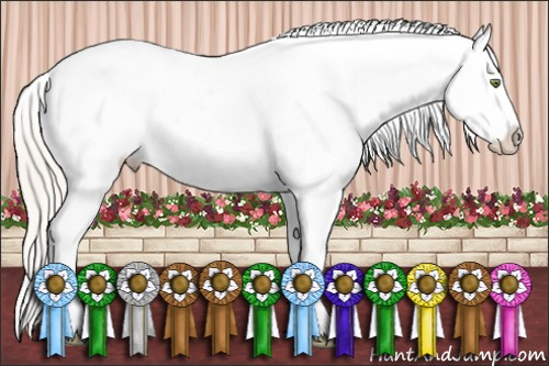 Horse Color:White Spotted Silver Amber Champagne Dun Appaloosa 