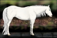 Horse Color:Silver Smoky Creme Roan Dun 
