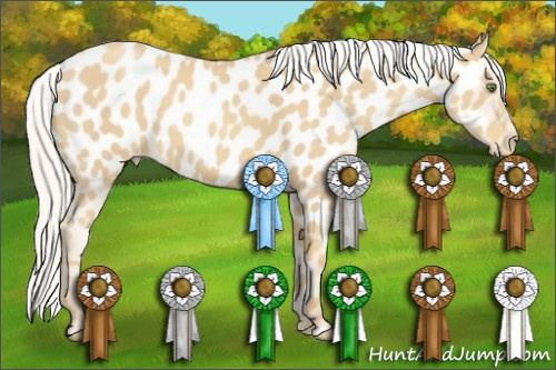 Horse Color:Silver Classic Cream Champagne Appaloosa 
