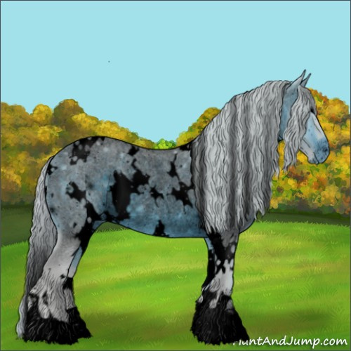Horse Color:ERROR: UNKNOWN ANOMALY