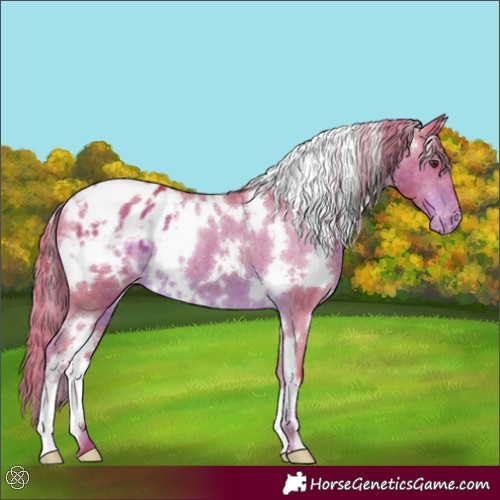 Horse Color:Watercolor White Spotted Liver Chestnut Varnish 
