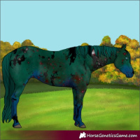 Horse Color:ERROR: UNKNOWN ANOMALY