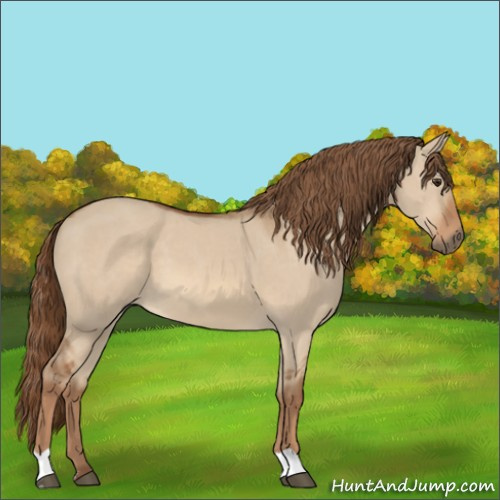 Horse Color:Red Dun