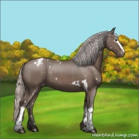 Horse Color:White Spotted Silver Black Varnish 