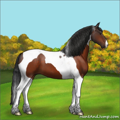 Horse Color:Brown Tobiano