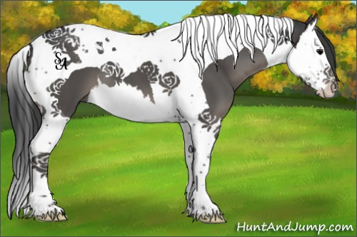 Horse Color:Black Splash Tobiano