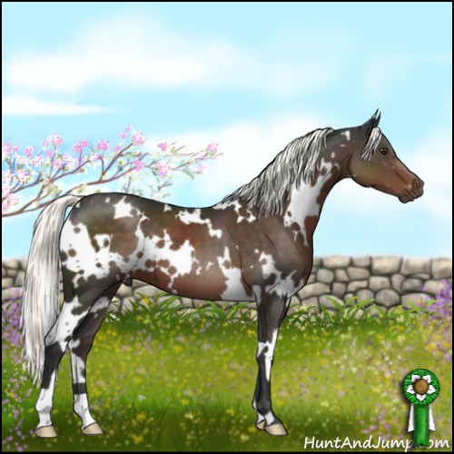 Horse Color:White Spotted Liver Chestnut Mushroom 