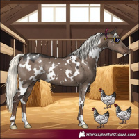Horse Color:White Spotted Liver Red Dun Mushroom