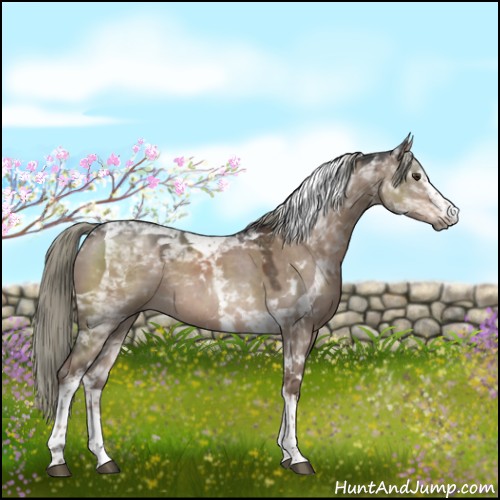 Horse Color:White Spotted Liver Red Dun Mushroom Tobiano 