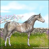 Horse Color:White Spotted Liver Red Dun Mushroom Tobiano 