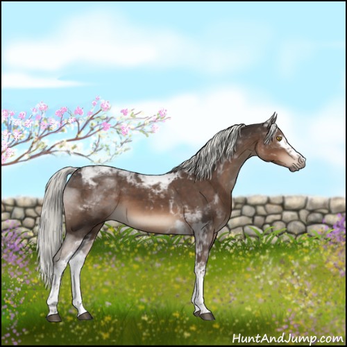 Horse Color:White Spotted Liver Chestnut Mushroom Tobiano 