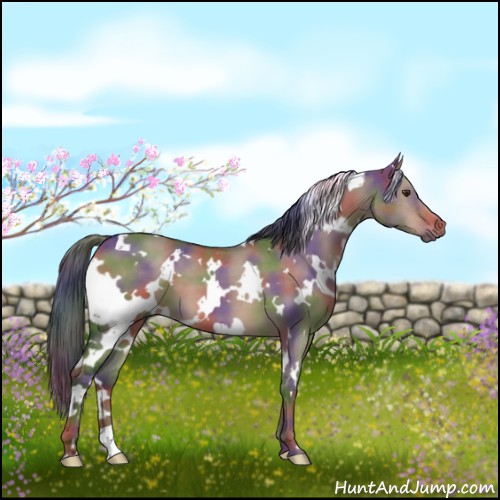 Horse Color:Nacre White Spotted Liver Red Dun 