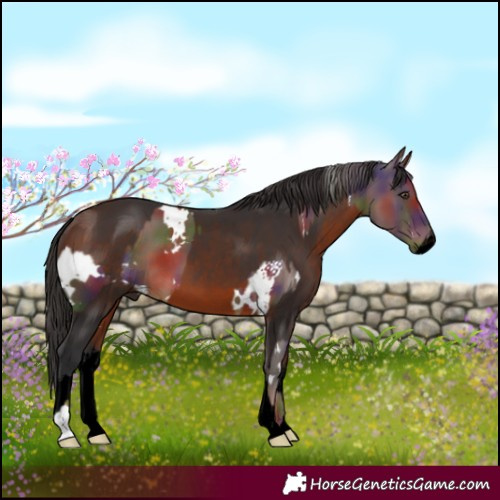 Horse Color:Nacre White Spotted Liver Chestnut  and Void White Spotted Bay 