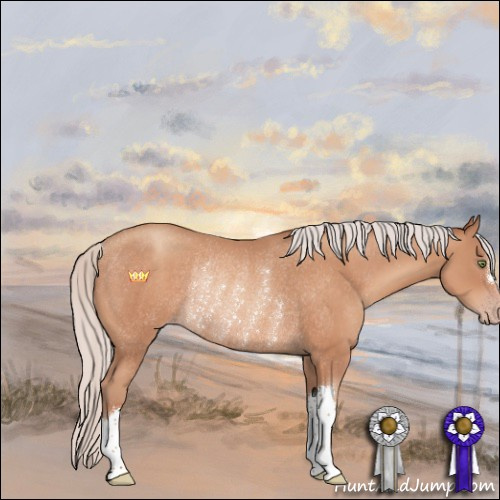 Horse Color:Silver Sable Champagne Rabicano 