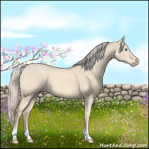 Horse Color:Cremello Dun Brindle 