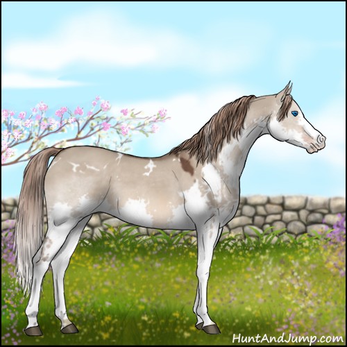 Horse Color:White Spotted Liver Red Dun Splash 