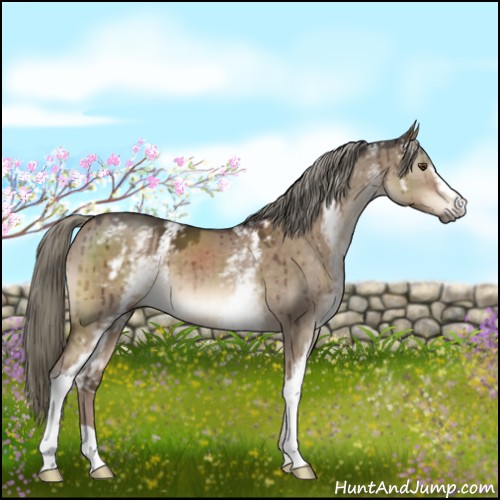 Horse Color:White Spotted Liver Red Dun Mushroom Brindle 