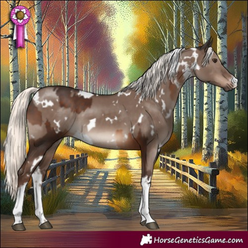 Horse Color:White Spotted Liver Chestnut and White Spotted Liver Red Dun Mushroom