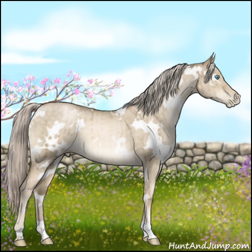 Horse Color:White Spotted Chocolate Palomino Pearl Dun Mushroom Brindle 