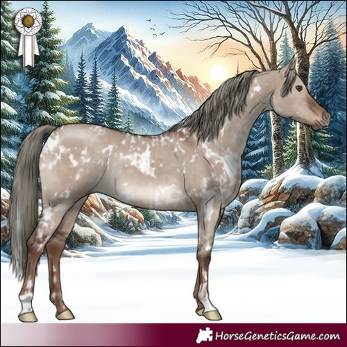 Horse Color:White Spotted Liver Red Dun Mushroom and White Spotted Liver Red Dun Mushroom