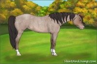 Horse Color:Sable Champagne Roan 
