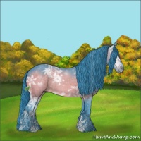 Horse Color:Watercolor Brown Ice Rabicano 