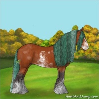 Horse Color:Painted Buckskin Sabino 