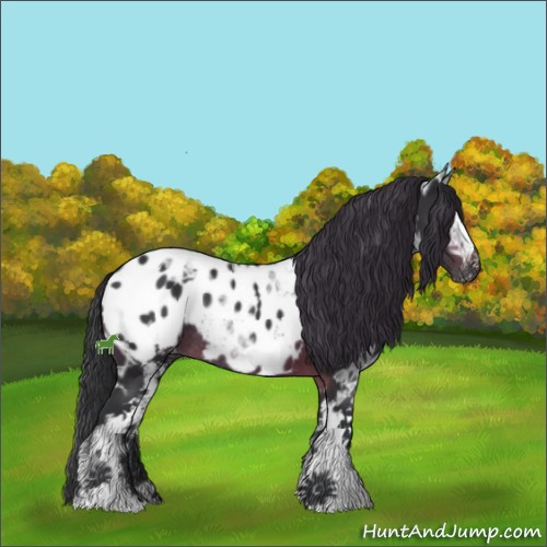 Horse Color:White Spotted Brown Ice Appaloosa Rabicano