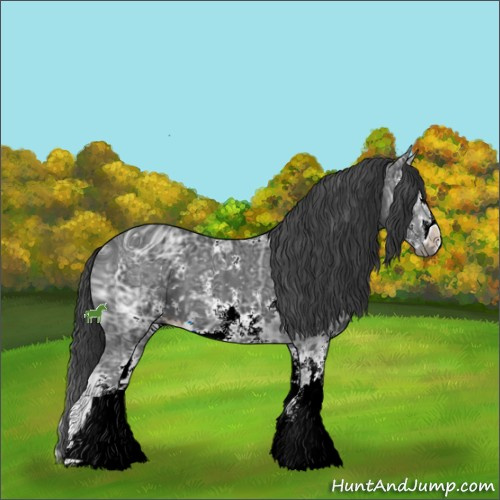 Horse Color:ERROR: UNKNOWN ANOMALY