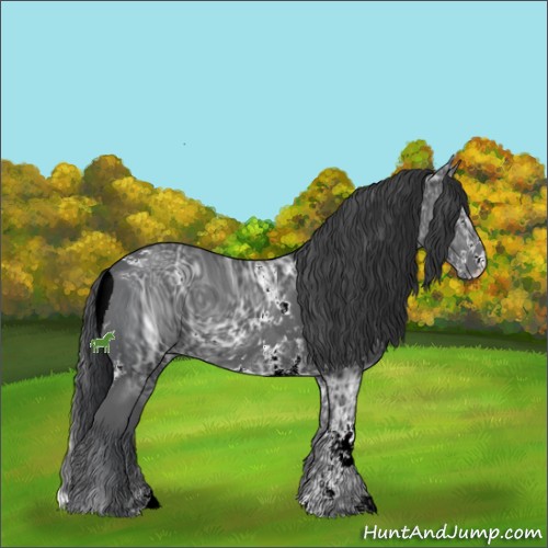 Horse Color:ERROR: UNKNOWN ANOMALY