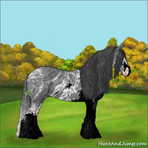 Horse Color:ERROR: UNKNOWN ANOMALY