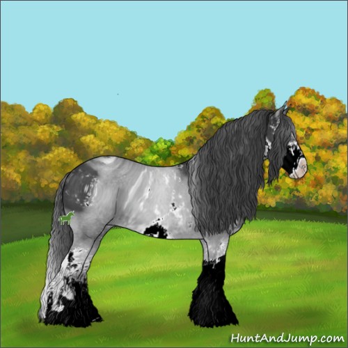 Horse Color:ERROR: UNKNOWN ANOMALY