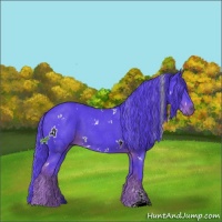 Horse Color:Watercolor White Spotted Liver Chestnut Sabino 