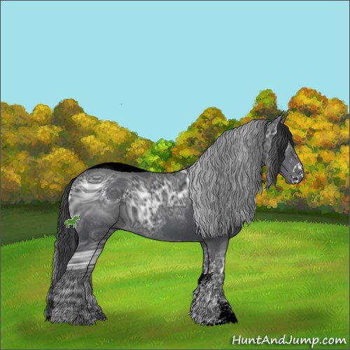 Horse Color:ERROR: UNKNOWN ANOMALY